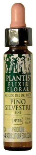 Den Plantis Nº 24 10 ml