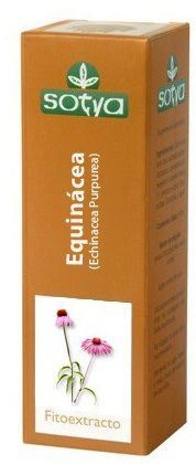 Echinacea-extract 60 ml