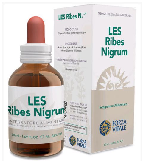 Ribes Nigrum Zwarte bes 50 ml