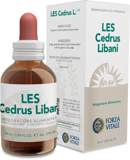 Cedrus Libani Libanonceder 50 ml