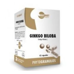 Ginkgo Biloba 45 capsules