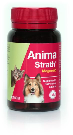 Anima Strath Magnesium 120 tabletten