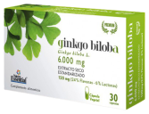 Ginkgo Biloba 60 capsules